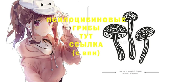 соль ск Армянск