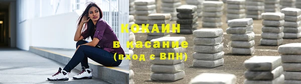 прущие крисы Няндома