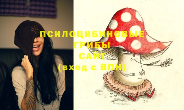 мескалин Осташков