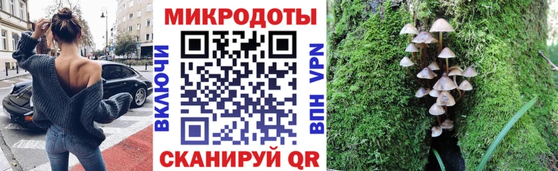 где купить   Почеп  mega вход  Псилоцибиновые грибы ЛСД 